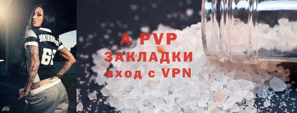 Альфа ПВП Бородино