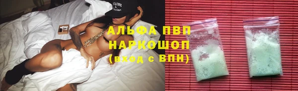 PSILOCYBIN Богданович