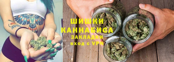 PSILOCYBIN Богданович