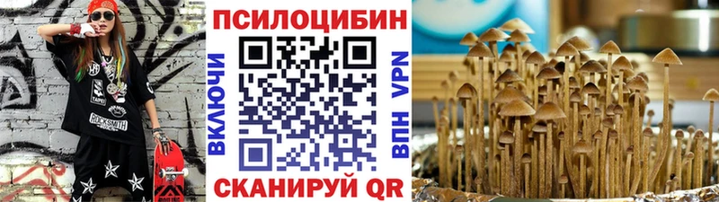 Галлюциногенные грибы ЛСД  цены наркотик  Ельня 